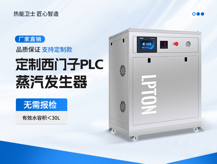 定制款西門子PLC蒸汽發生器